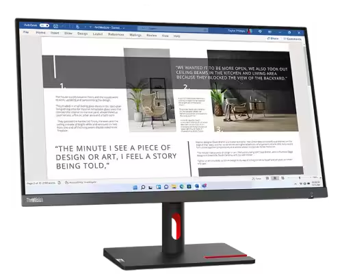 ThinkVision 30 Monitor